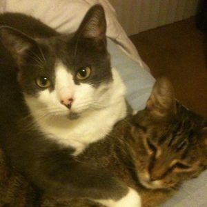 Meet your Posher, Paige